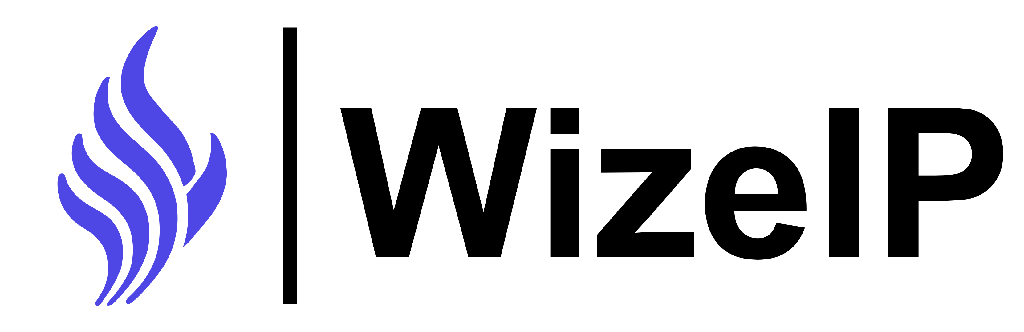 WizeIP logo featuring stylized text WizeIP in bold font with a modern, professional tone, set against a clean background