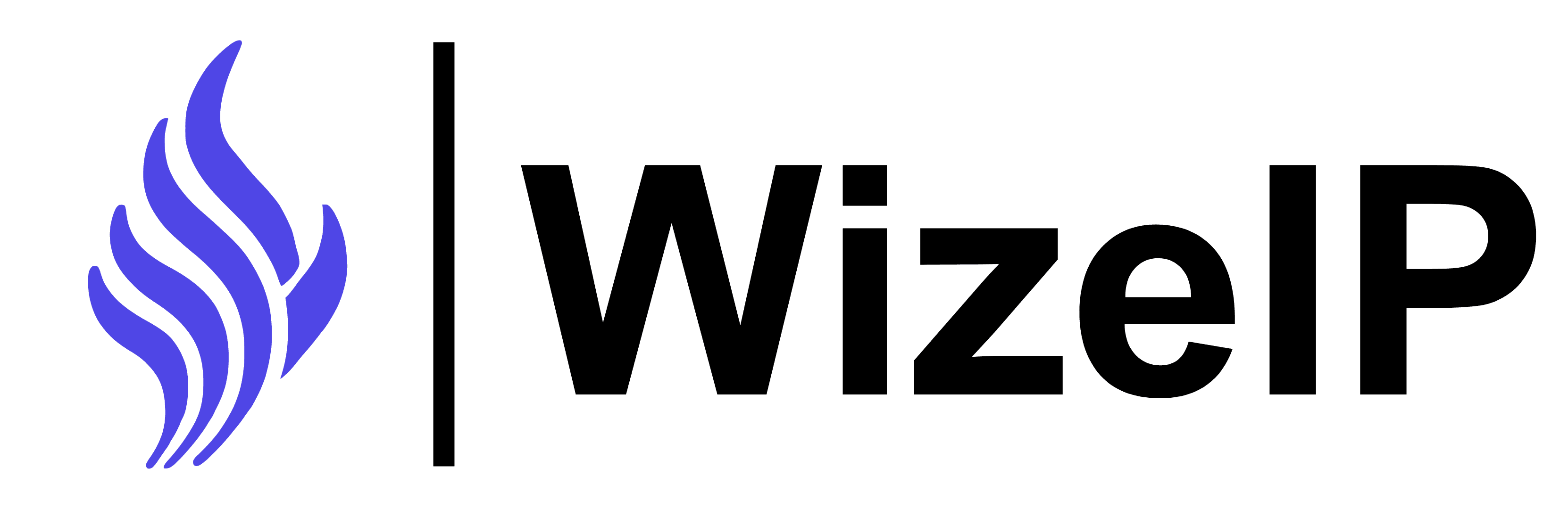 WizeIP Logo